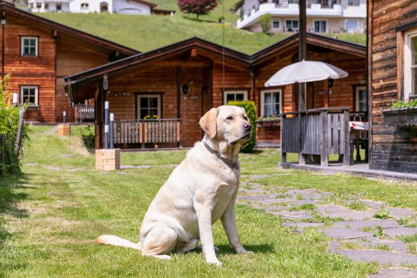 Uriges Chalet 7 - foto 36