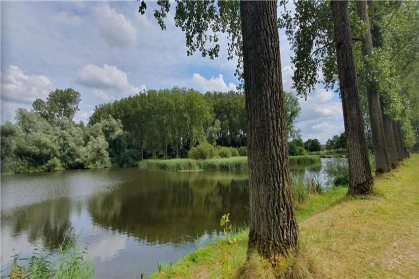 Houck - foto 36