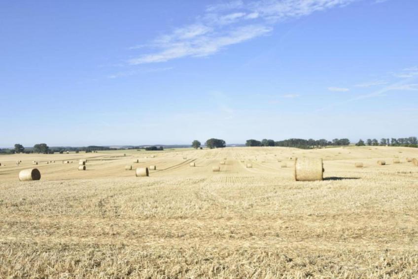"Beletage" bei Gerdshagen - foto 25