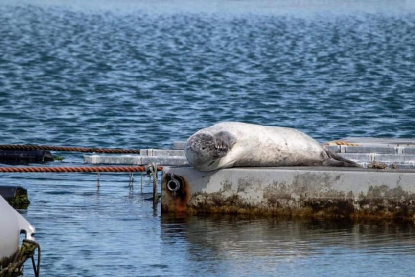 Charming Beveland - foto 38