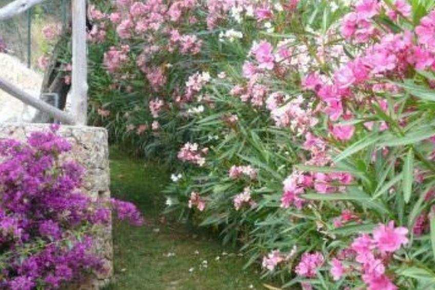 Wohnung mit Parkplatz und Panoramablick - foto 4