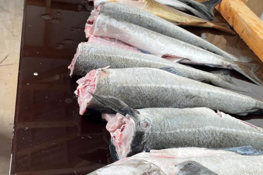 Stabben Blue House - foto 37