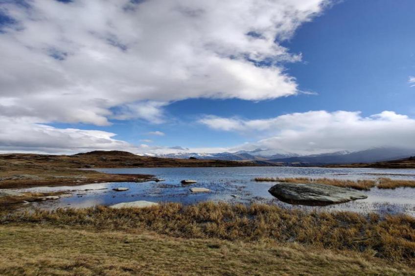 Les Huskies N°51 - 3P6 - foto 31