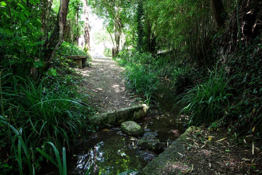 "Gite de Guillemat" - foto 21