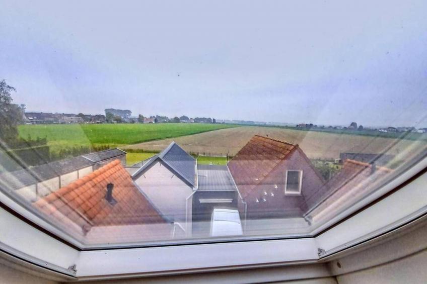 de Rust - foto 38