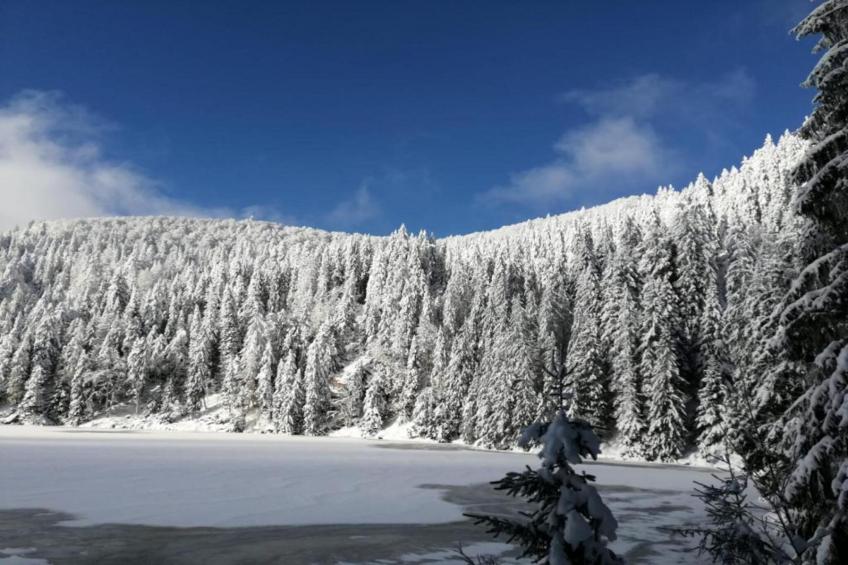 Le Domaine des Rois - foto 34