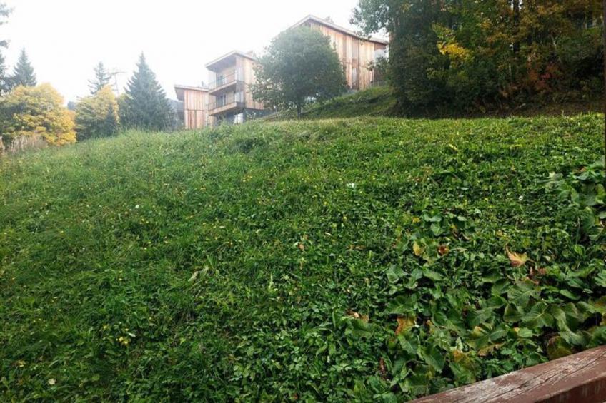 Résidence Aiguille Grive 1 - foto 11