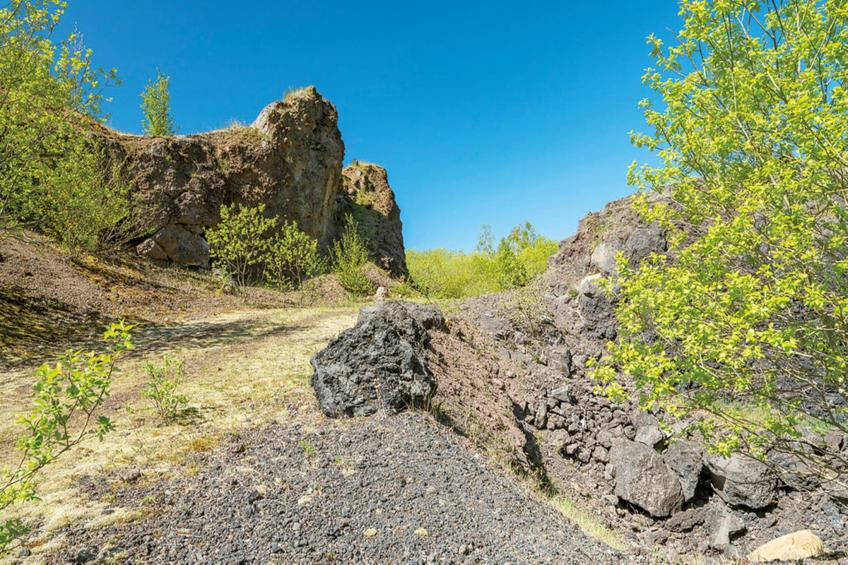 Gästezimmer Eifelglück - foto 19
