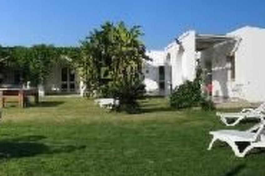 Cuore di Palme Bilo - foto 2