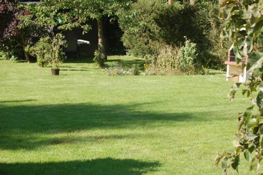 FeWo Nr 1 Harztor - foto 18