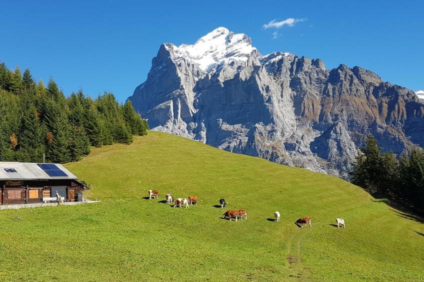 Chalet Gletscherfloh - foto 26