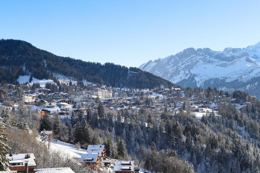 Le Mont Blanc - foto 19