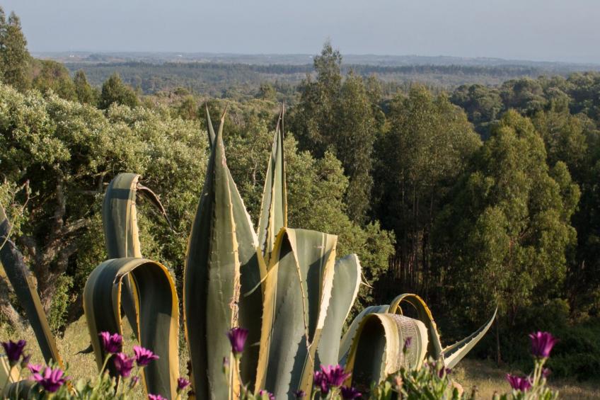 Monte Horizonte Casa Sobreiro Eco und Na - foto 18