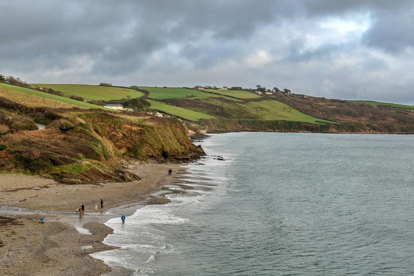 Dingles Cottage - foto 48