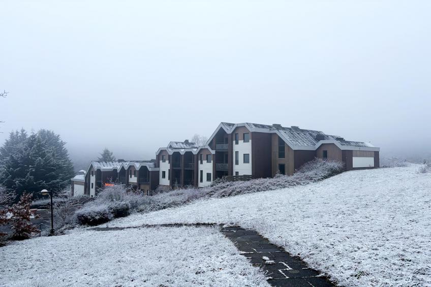 Apartment 4P - Basic - foto 23