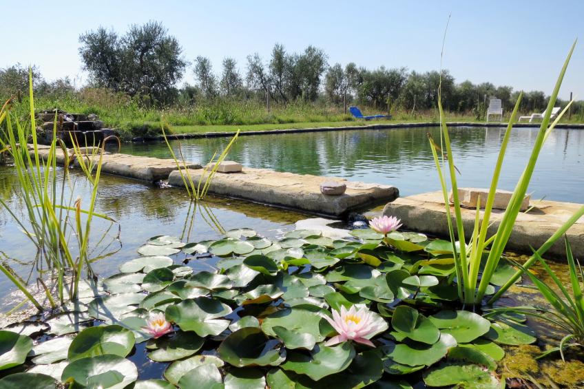 Agriturismo Podere Noé (ROC420) - foto 26