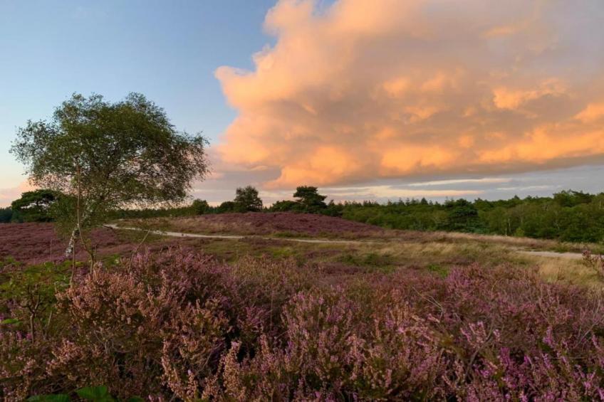 Halseweg 54 - foto 27