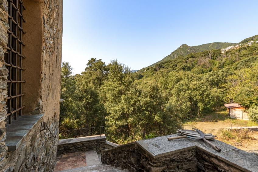 Formicaccia - foto 41