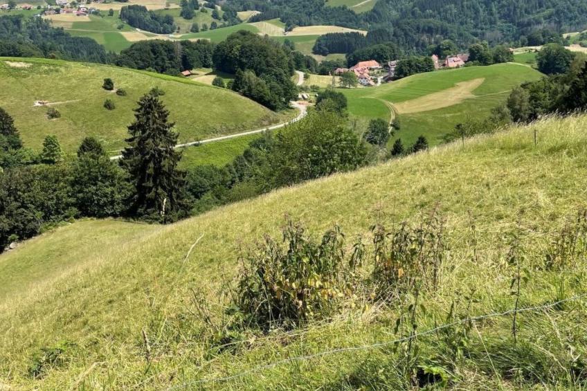 Haus Sonnenschein - foto 34