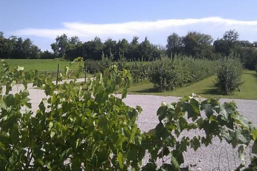 Wohnung mit Grill, Pool und Terrasse - foto 52