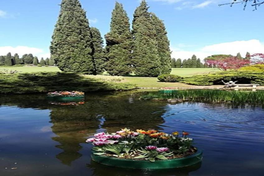 Maison Jaune - foto 27