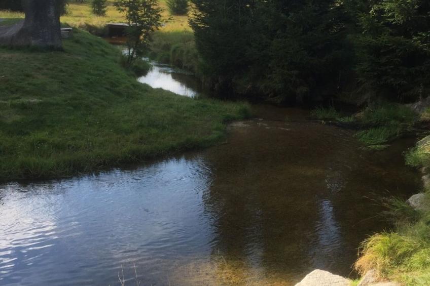 in Frauenberg mit Garten - foto 12