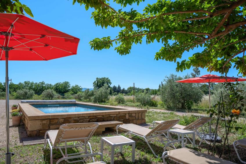 Mas du Mûrier - foto 19