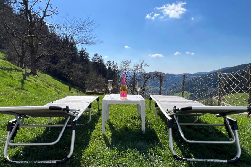 Haus mit Whirlpool, Sauna und Schwarzwaldblick - foto 31