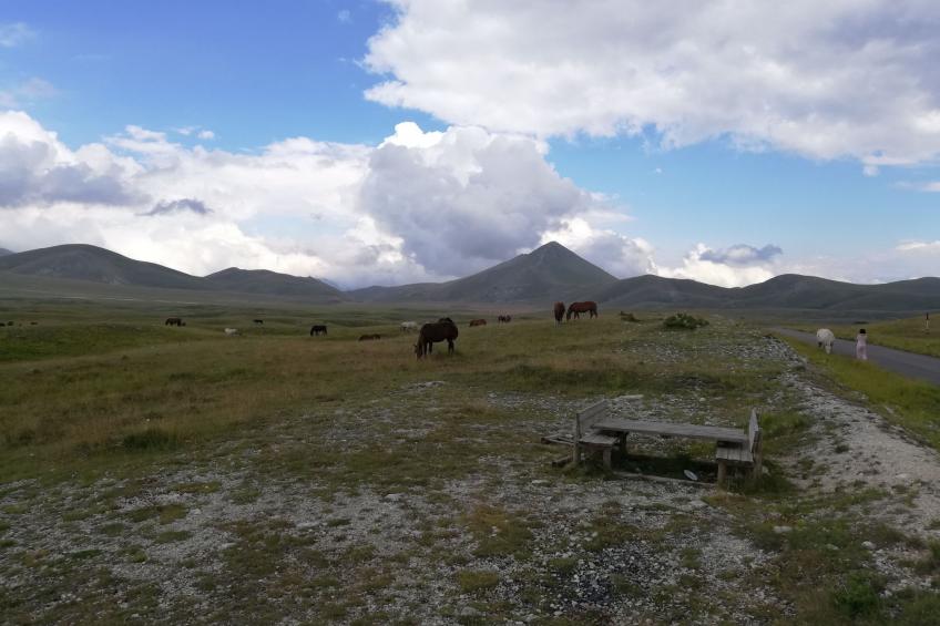 Casa Luna - 6 Personen - in Picciano - foto 31