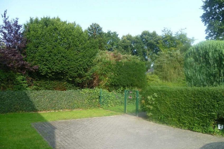 475950 - foto 4