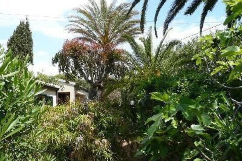 La Perla 8 - foto 24