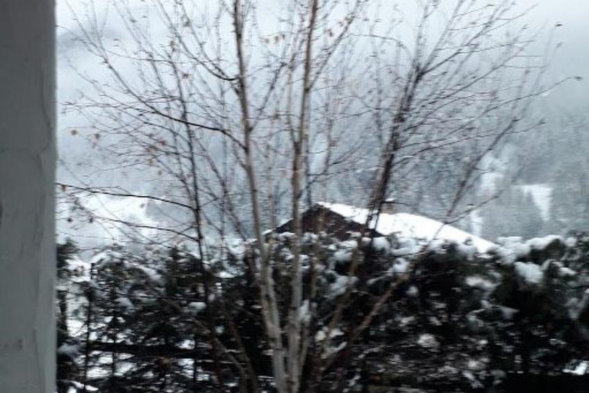 mit Bergblick - foto 37