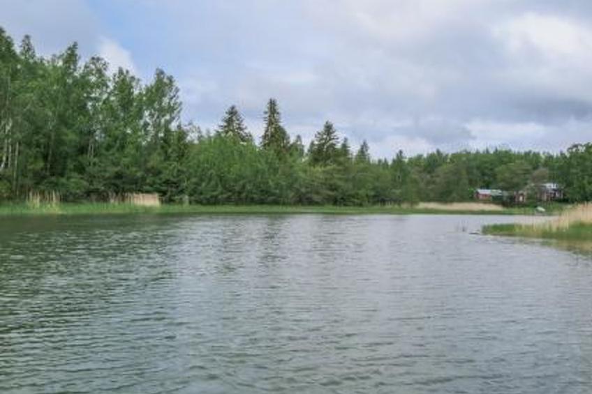 Villa petra - foto 19