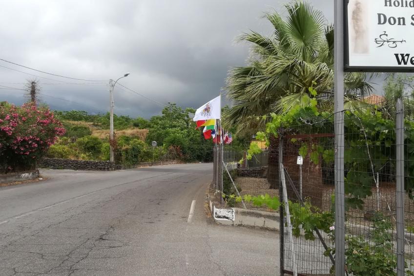 Le Palme in linera - foto 9