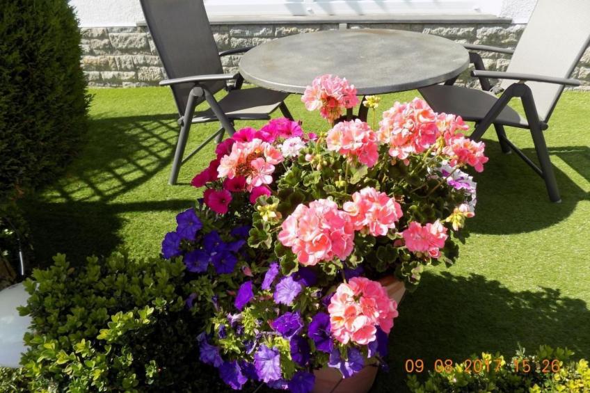 Appartement mit Terrasse, Garten und Grill - foto 30