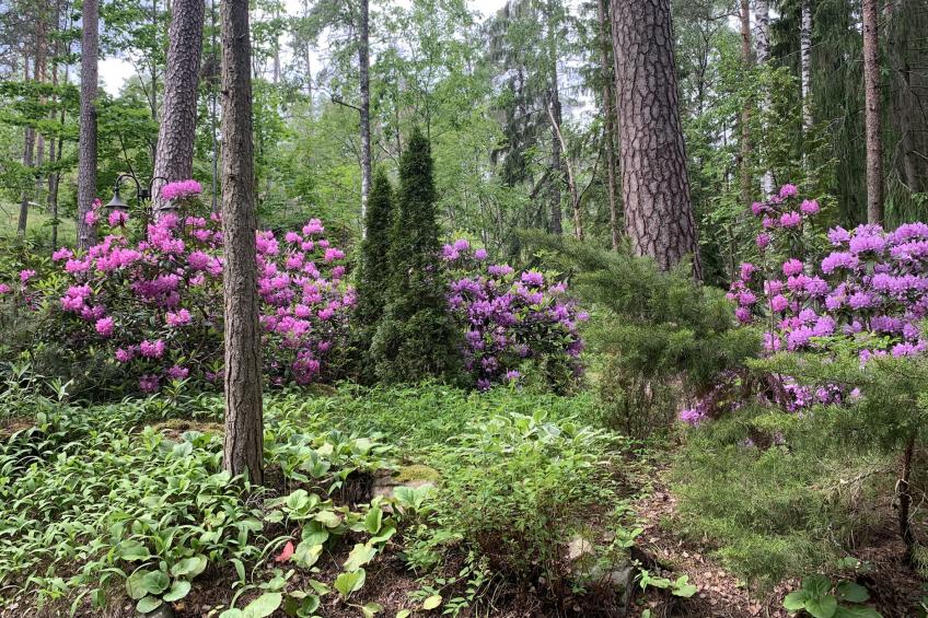 Villa kallahti beach view helsinki - foto 7