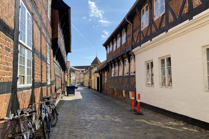 "Constance" - 23km from the sea - foto 5