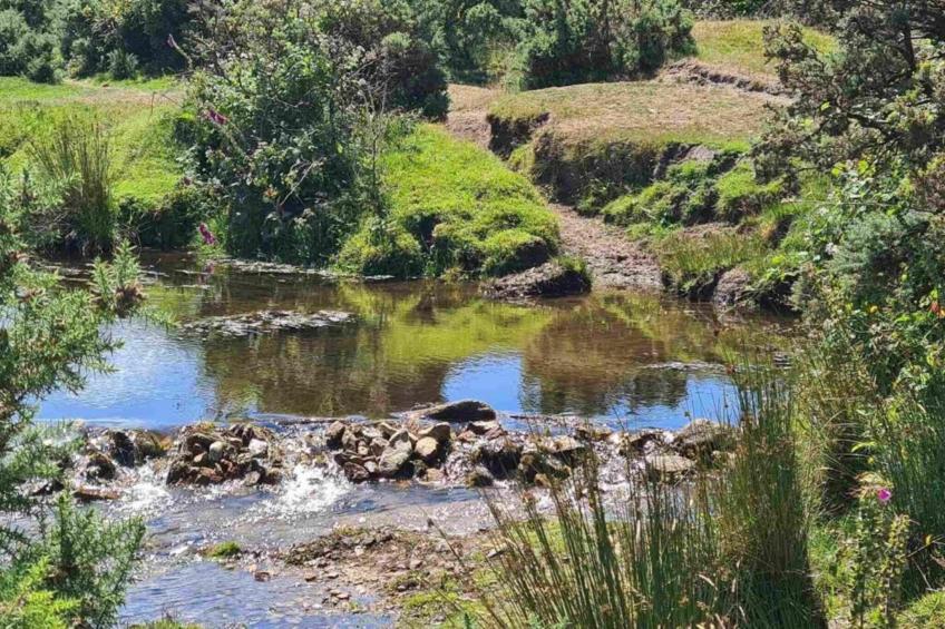 Jubilee Barn Cottage at Bodmin Moor - foto 17