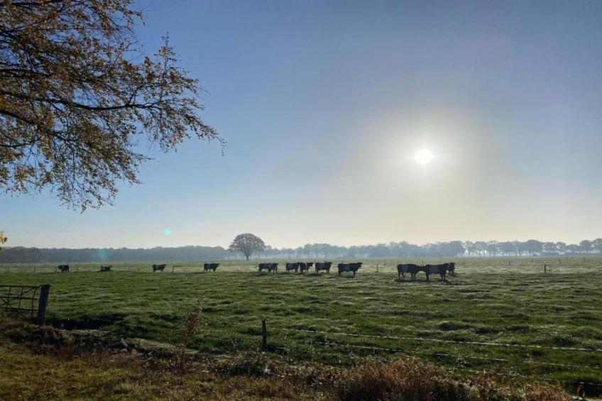 Vakantiepark De Lochemse Berg 1 - foto 24