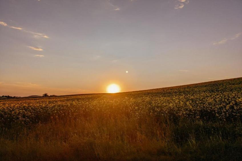 Ferienwohnung in Kamenz - Sachsen - foto 35