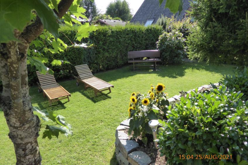 Eifelwaldhäuschen - foto 31