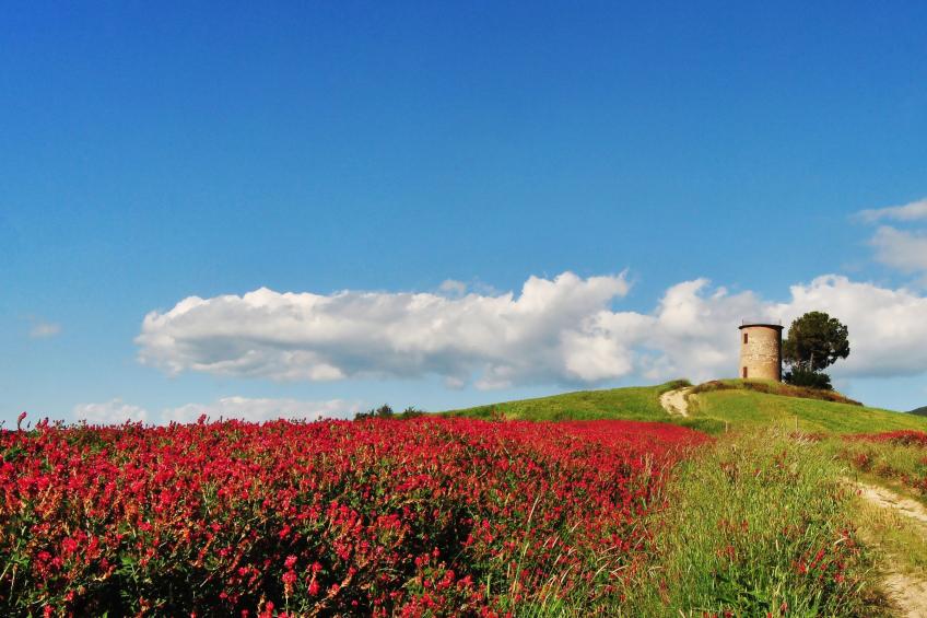 Violetta von Holiday World - foto 19