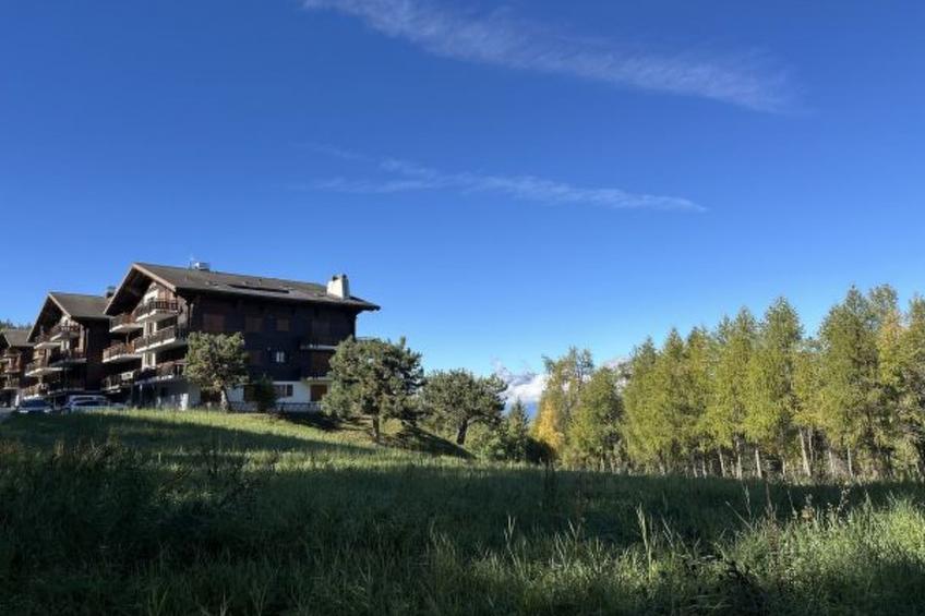 Les Mayens de l'Ours - 4 Vallées - foto 14