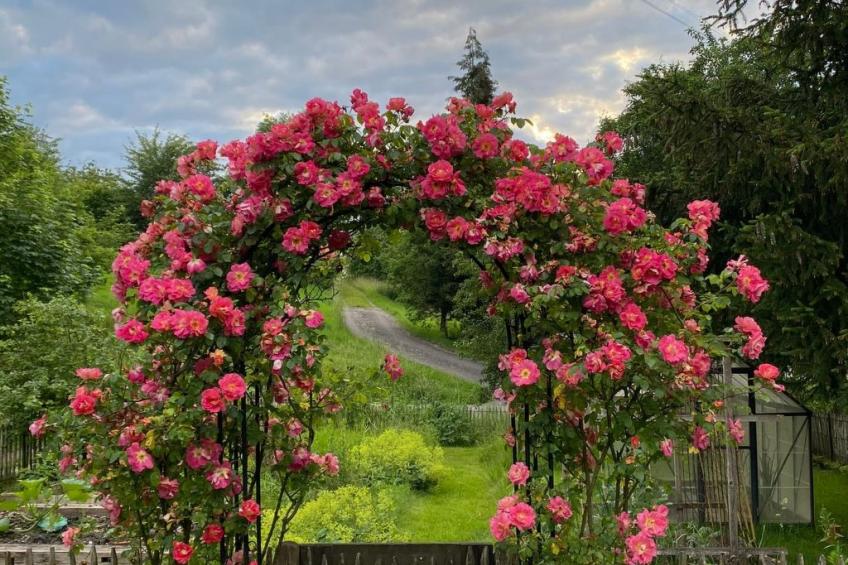 Ferien im Baudenkmal Mühle - foto 18
