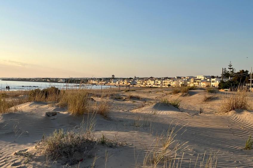 "Il giardino damare" - foto 23