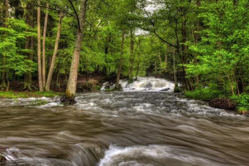 mit vielen Freizeitmöglichkeiten - foto 16