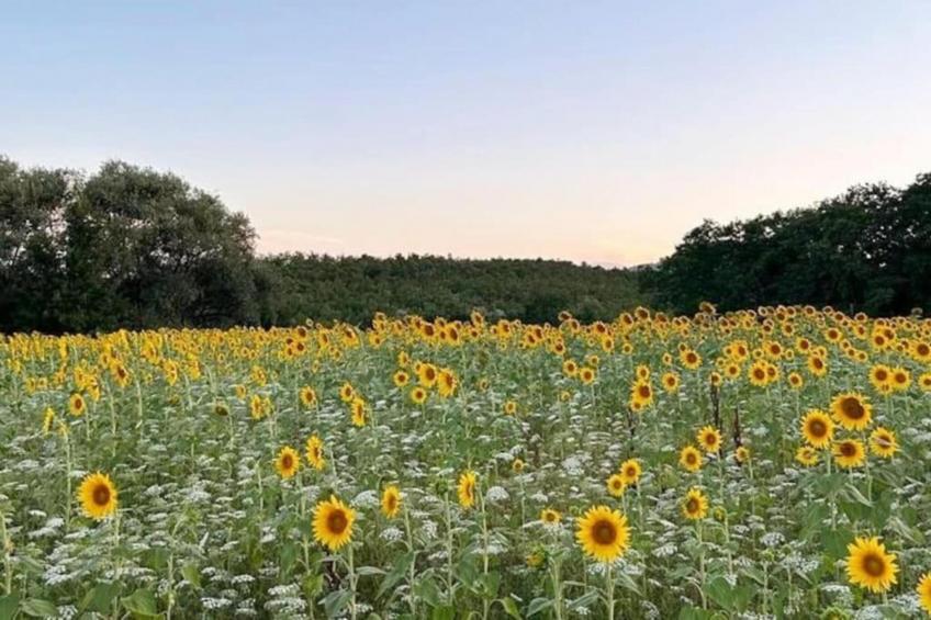 Chianti Village Morrocco - foto 33