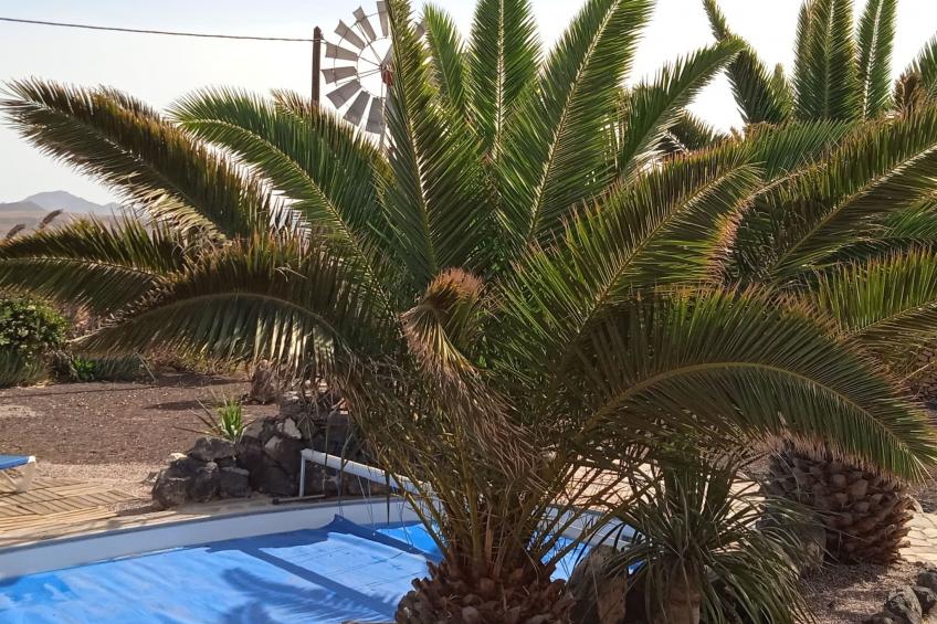 Kanarisches Haus mit privatem Pool und Garten - foto 20