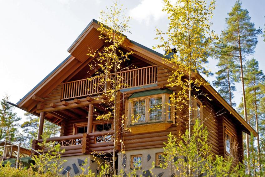 Villa tunturitervakko