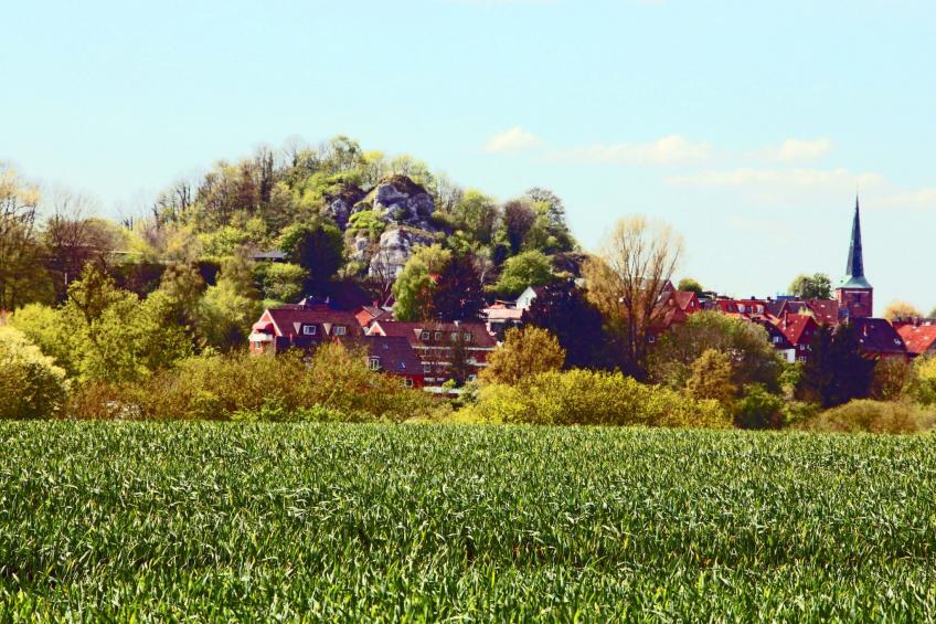 Neu im Angebot: Wohnung für vier Personen - foto 25